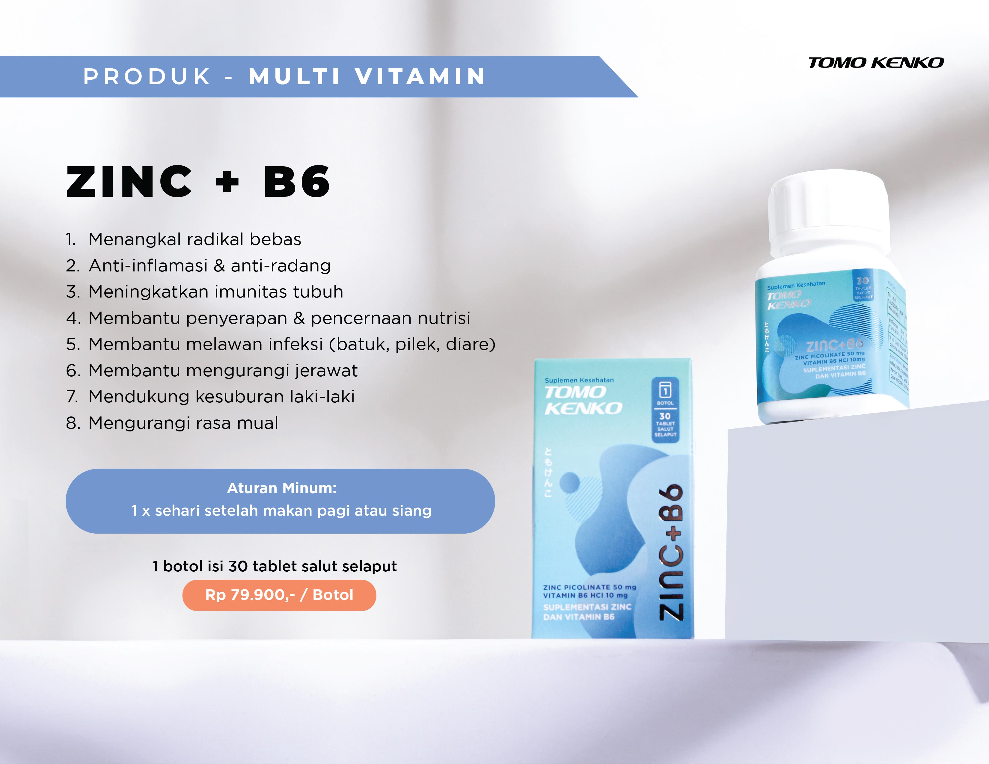 Tomo Kenko Company Profile Page 11